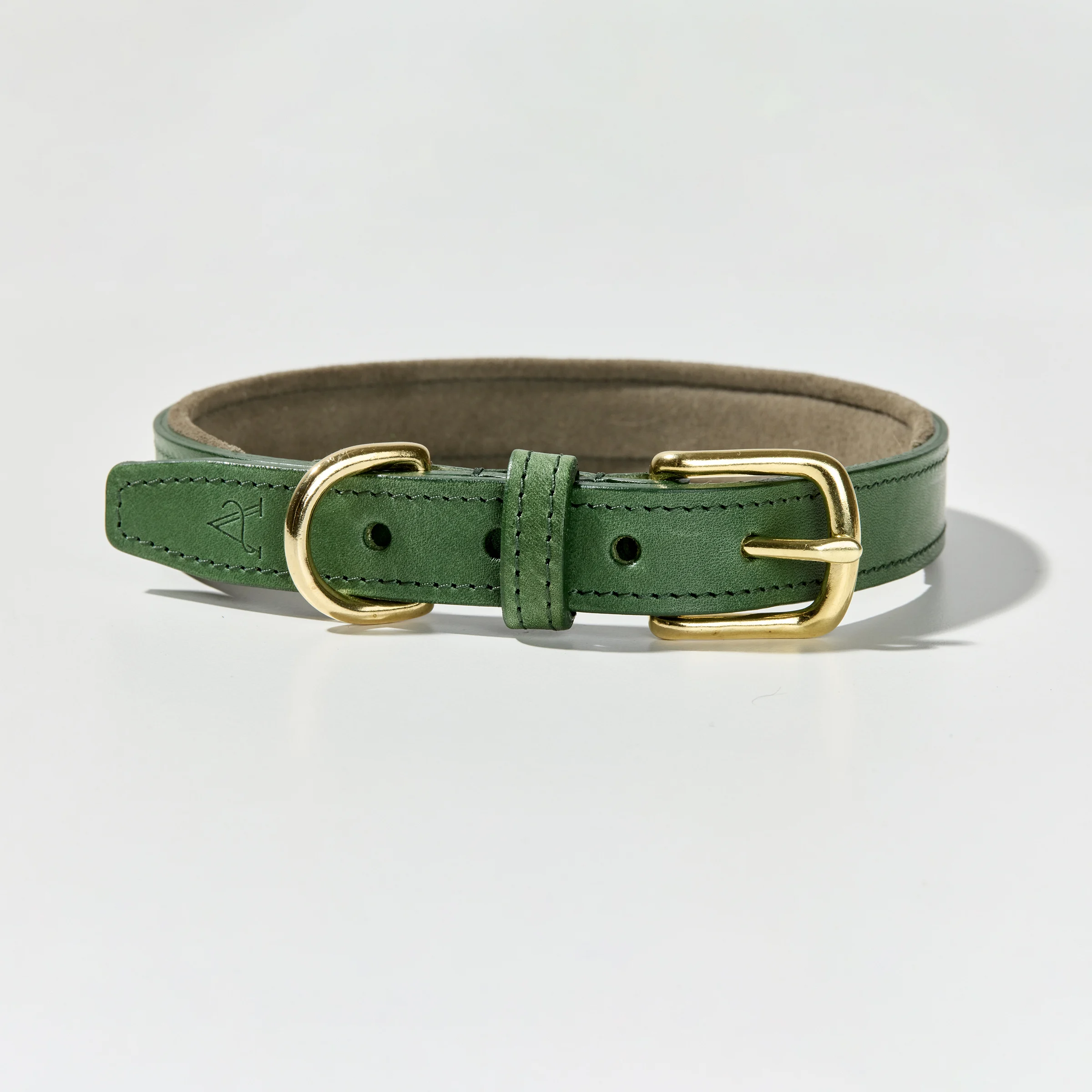 Padded Dog Collar (Green)