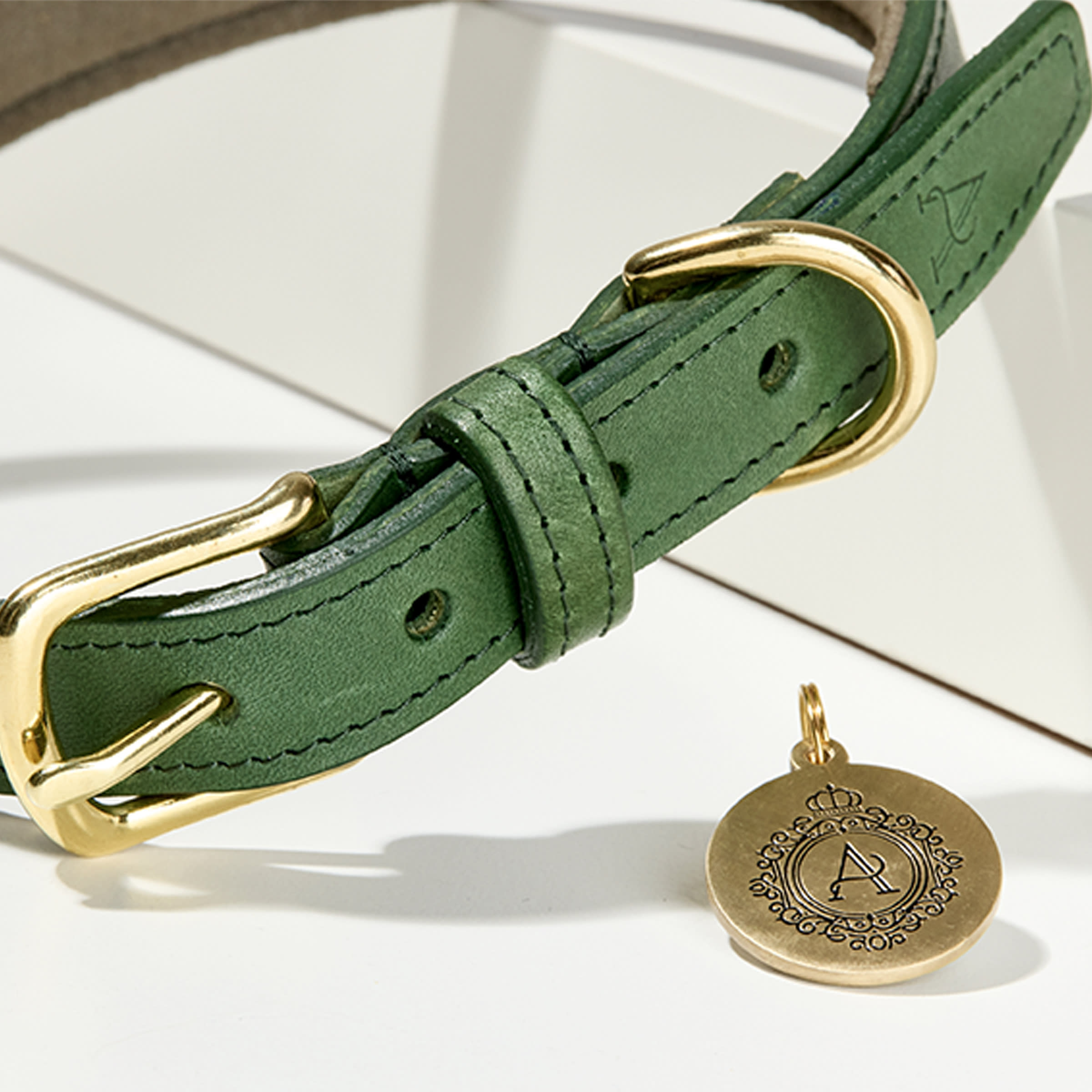 Padded Leather Dog Collar (Green)
