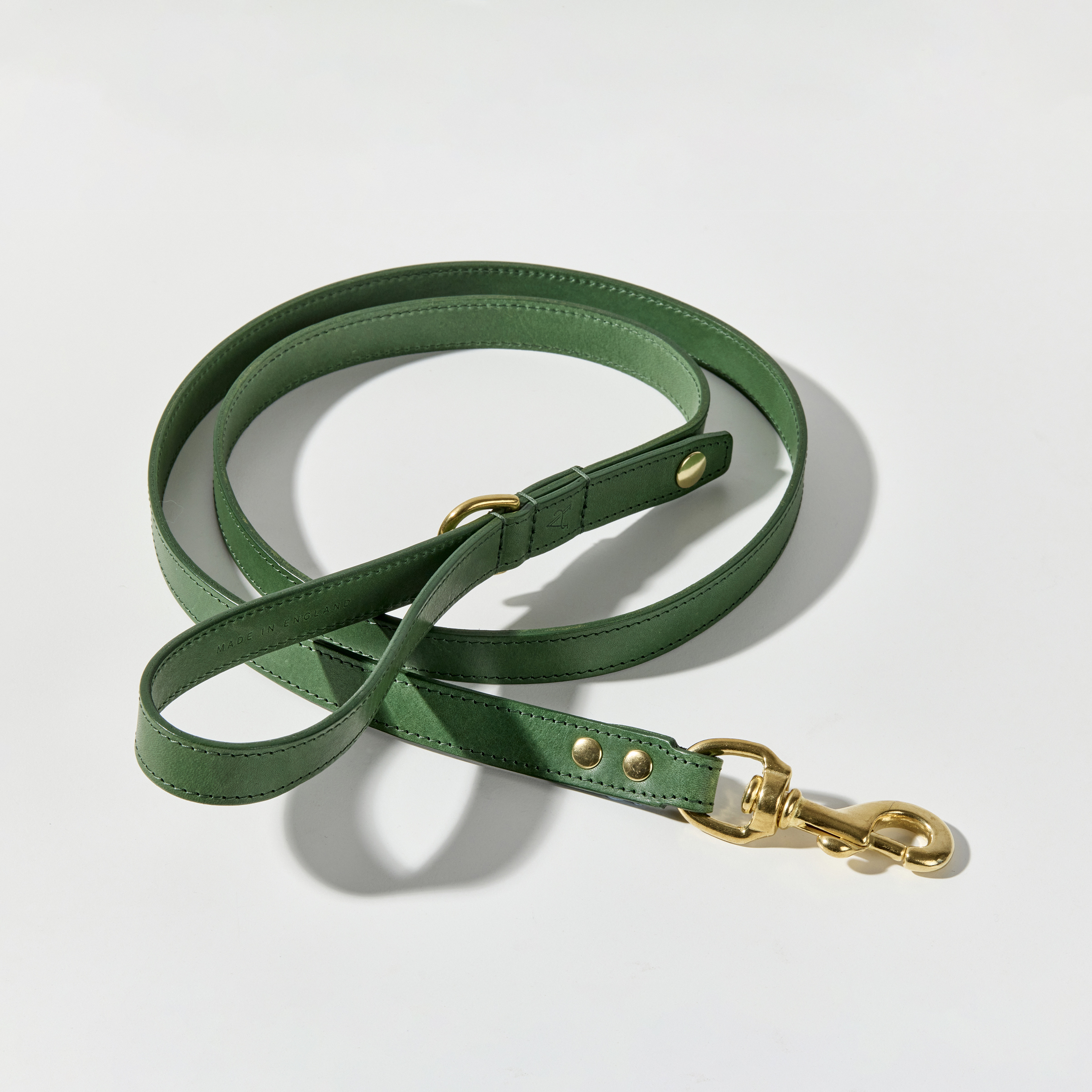 Leather Leash in Green