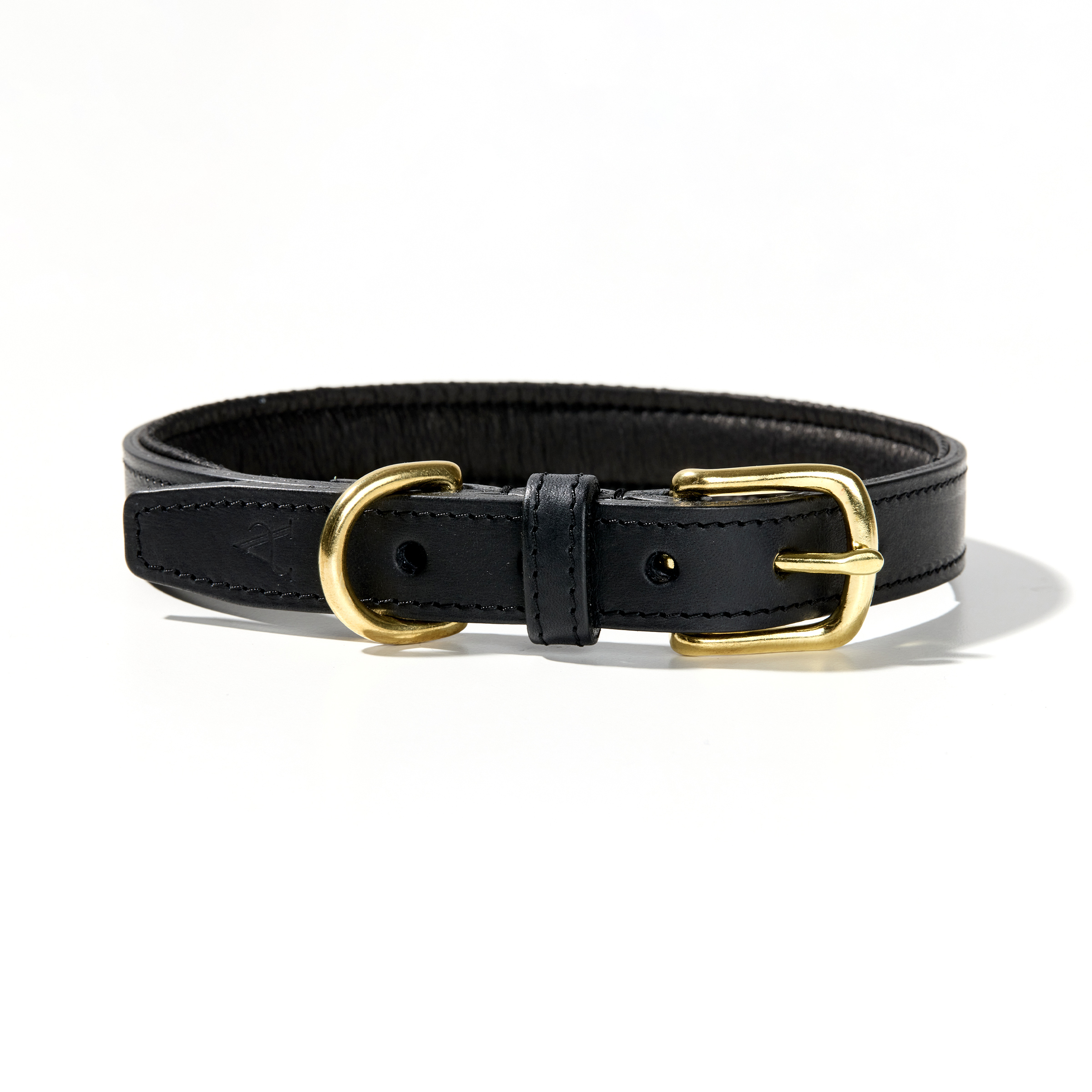 Padded Leather Dog Collar in Black