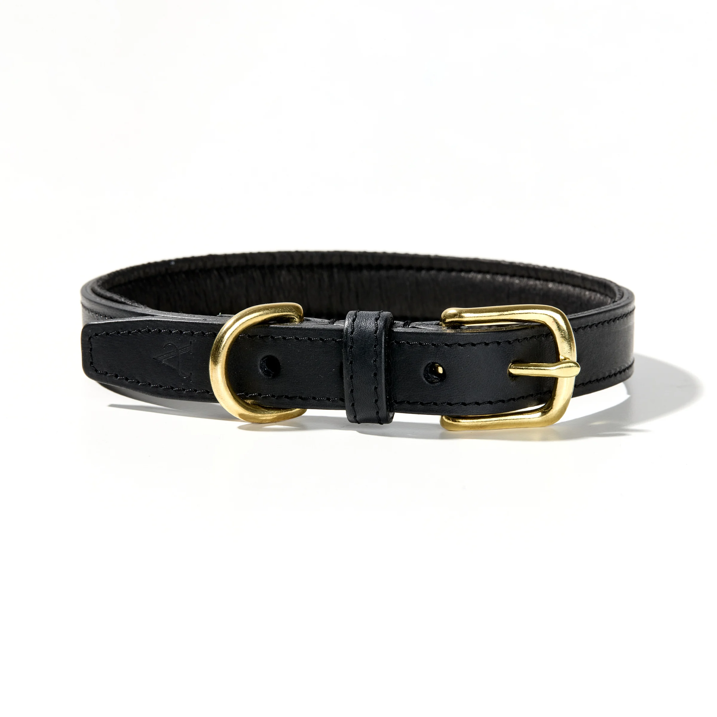 Padded Dog Collar (Black)