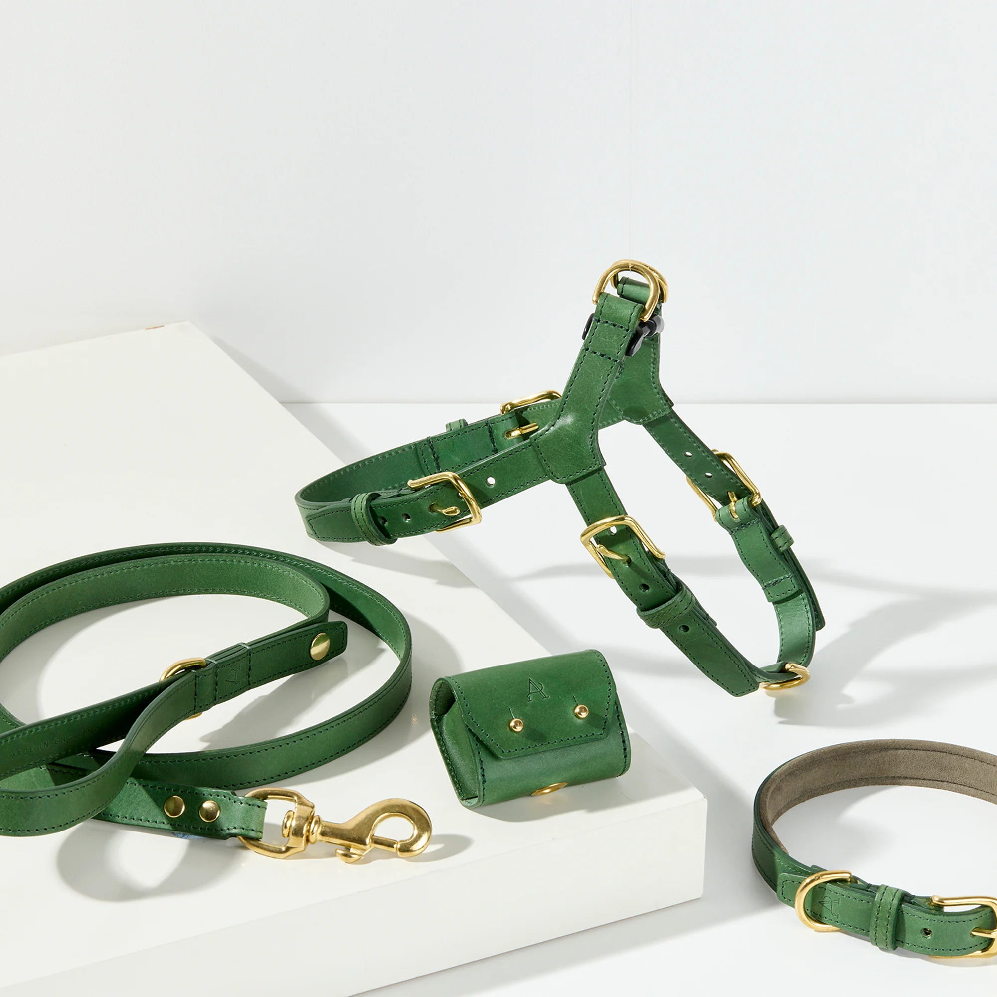 Green Dog Accessory Set