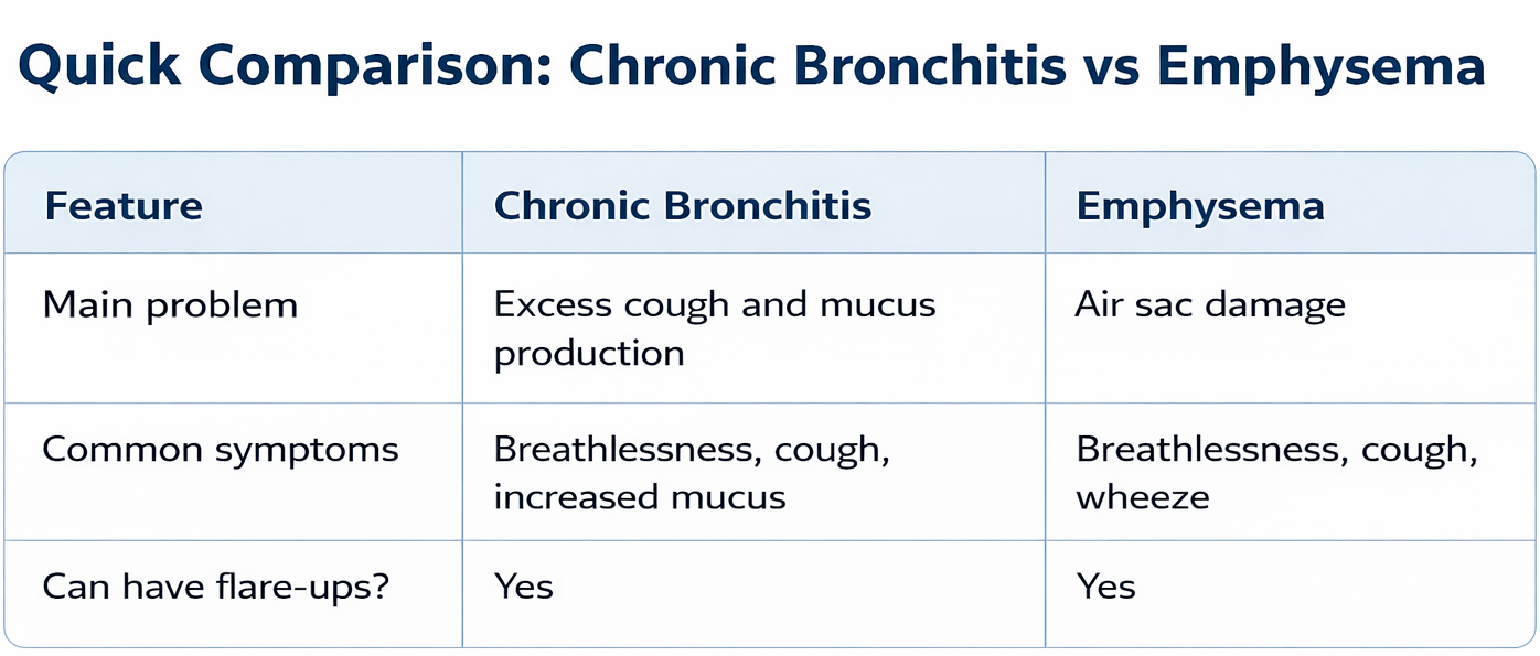 Quick comparison of chronic bronchitis vs emphysema including main problem, common symptoms, and flare-ups