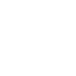 proj-icon-flower