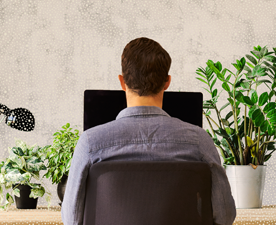 QUANTORE.COM Gemakkelijk groen3 QUANTORE.COM Gemakkelijk groen3