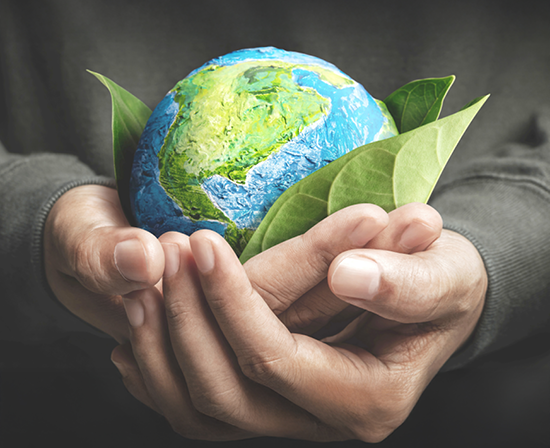 Tork q.com 550 x 4483