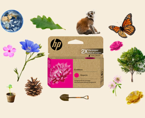 HP juli q.com 02 550 x 448 HP juli q.com 02 550 x 448