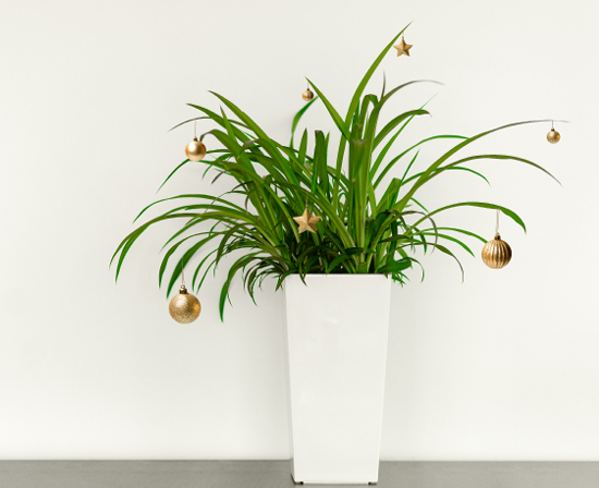 Quantore.com Alternatieve kerstboom2 Quantore.com Alternatieve kerstboom2