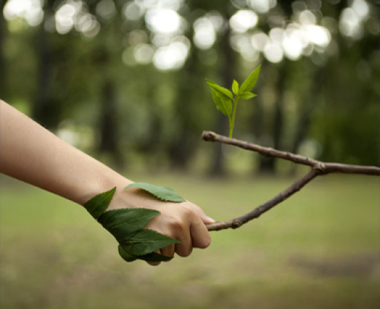 Owa q.com 550 x 4483