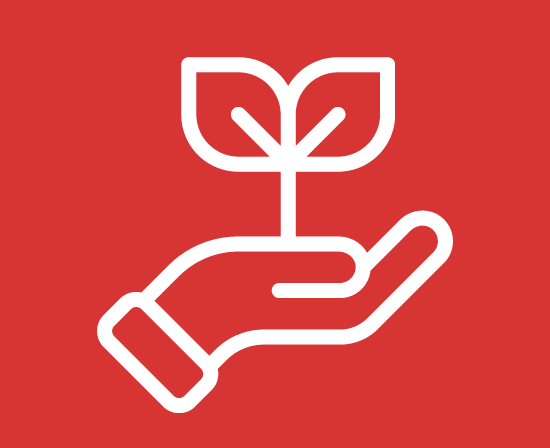 Canon nov q.com 550 x 4483 Canon nov q.com 550 x 4483