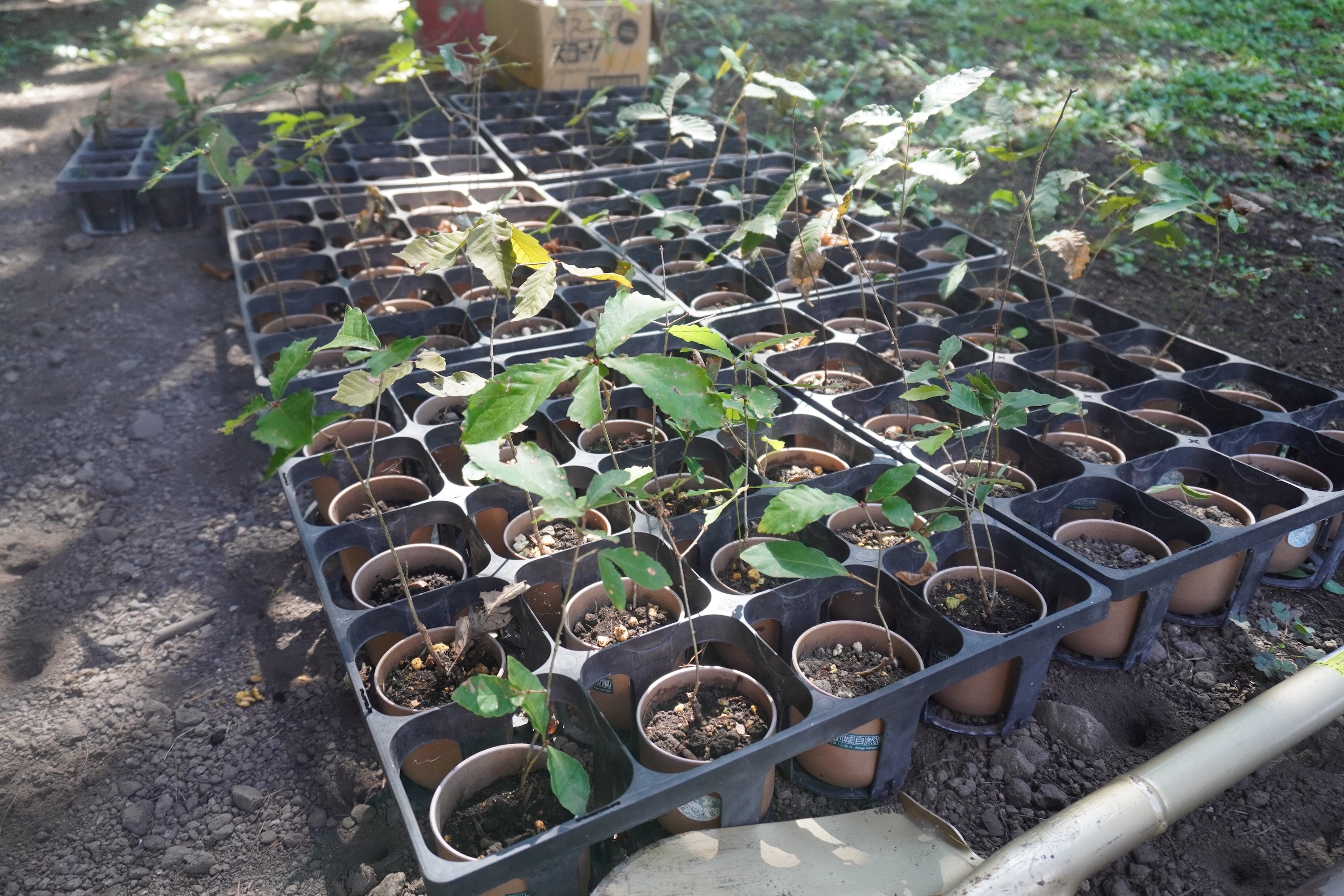 DATAFLUCTとクレディセゾンが提携発行する、CO₂排出量を可視化できる