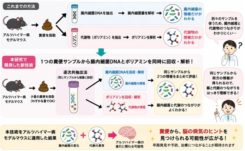腸内細菌と代謝物を同時解析する新技術を開発