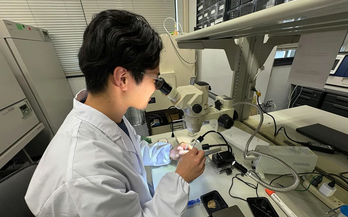 記憶障害にドーパミン不足が関与か
