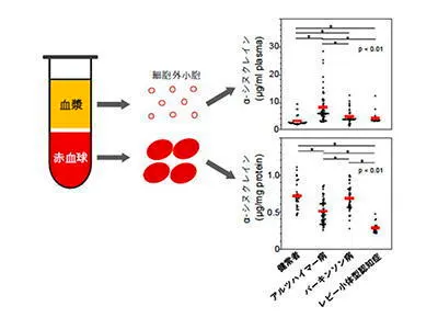 レビー小体型認知症の診断に新たな血液指標
