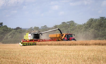 Gareth Bubb checks in with some advice of five key topics for arable ...