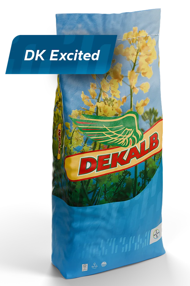 DK Excited packaging