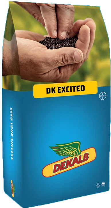 DK Excited packaging