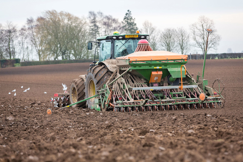 How to handle weed control and late OSR drilling in the north