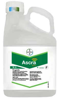 Large plastic bottle printed with a label of the Ascra logo 