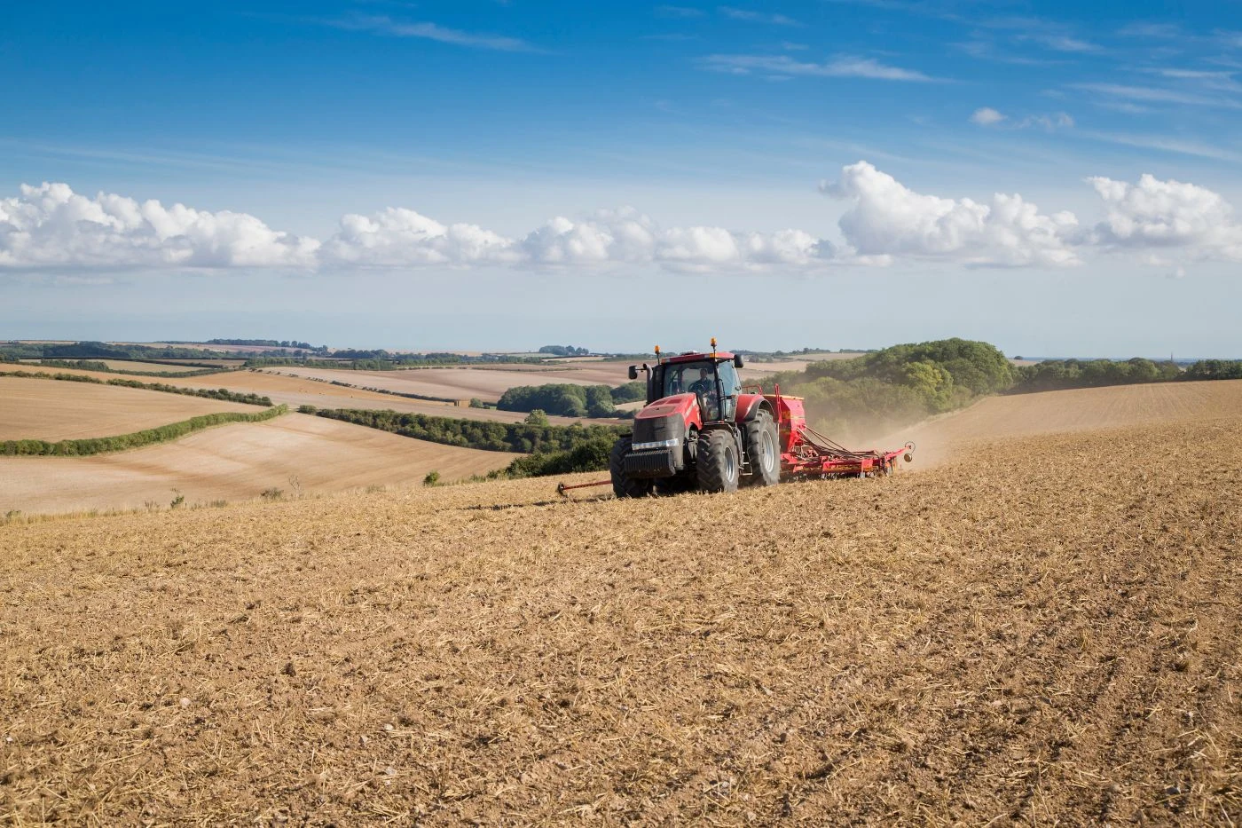 Drilling oil seed rape with Vaderstad Rapide 600 drill and Case Magnum 340 tractor - September, Lincolnshire Wolds