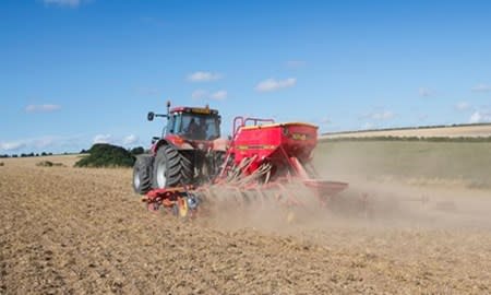 Herbicides, BYDV, oilseed rape and drilling date: 4 tips for October