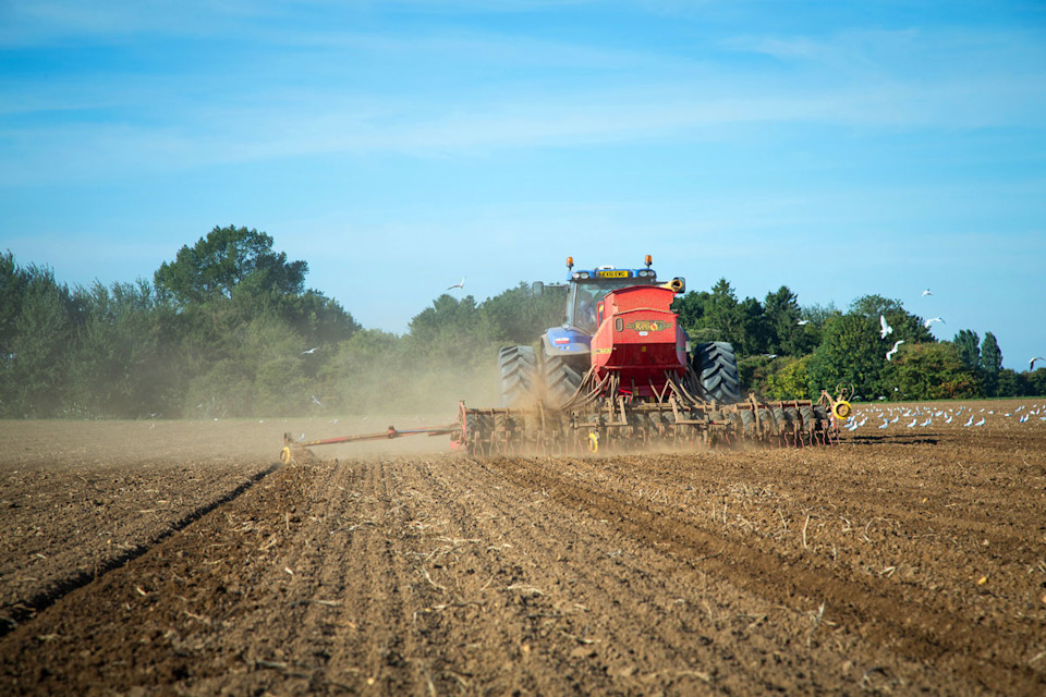 Detailed weed control advice for Midlands’ growers this September