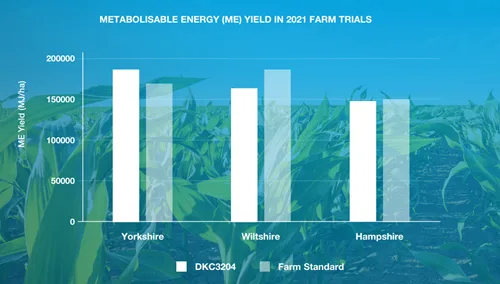 dkc3204 trial results