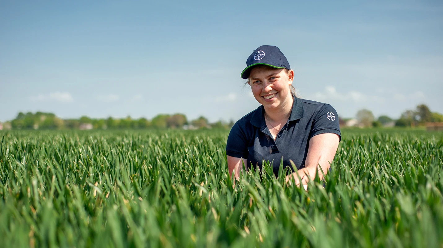 Rachel Banks in a crop of wheat
