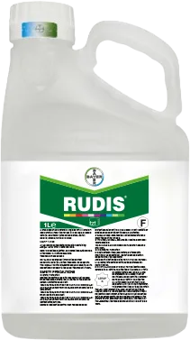 Large plastic bottle printed with a label of the Rudis logo 