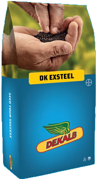 DK Exsteel packaging