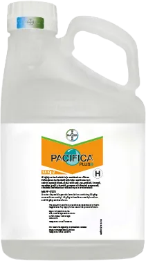 Large plastic bottle printed with a label of the Pacifica Plus logo 