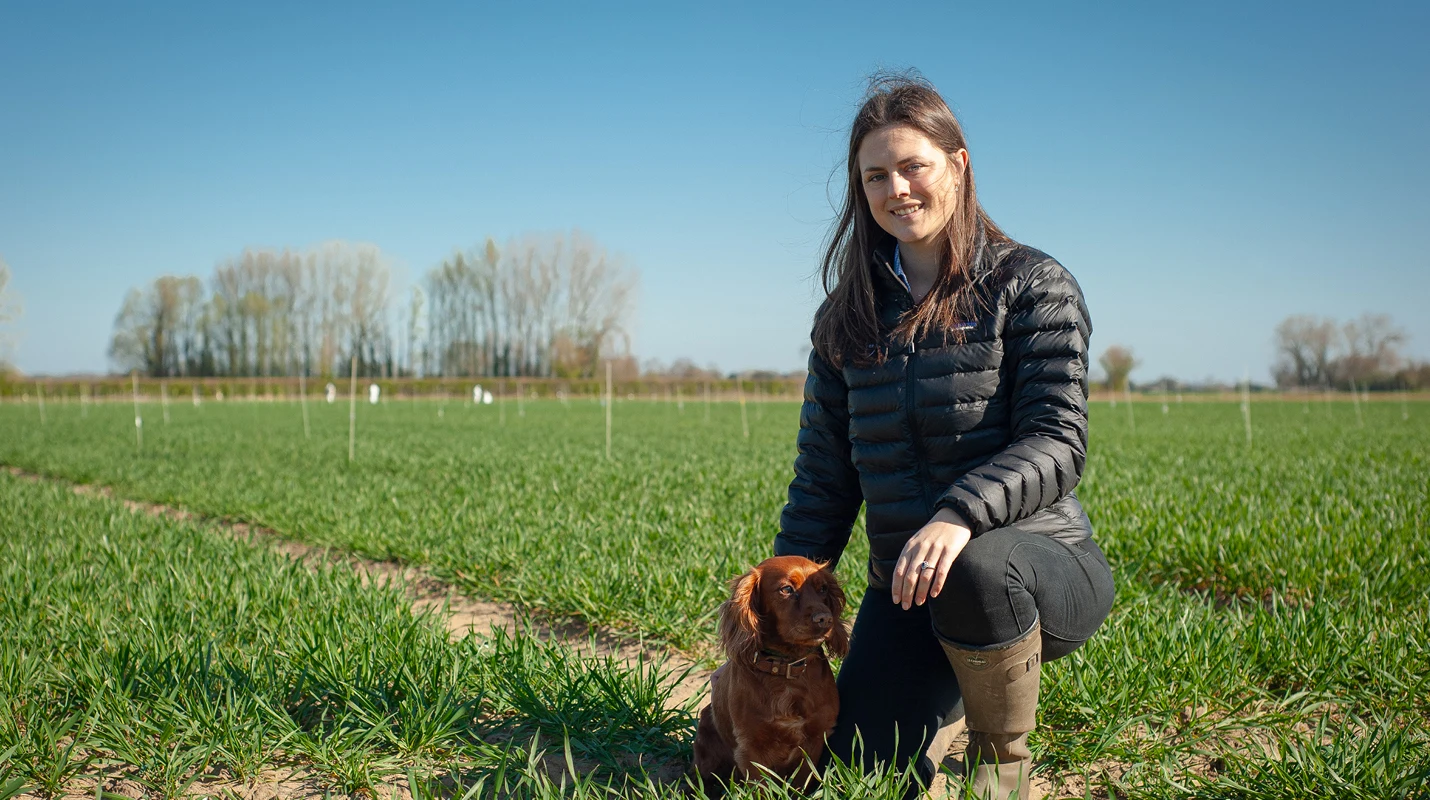 Emma Jones at a wheat trial plot