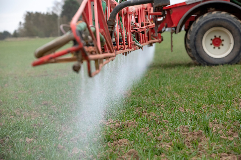 Cereal disease and weed control advice for Northern growers this March.