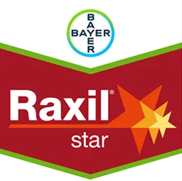 Raxil Star logo