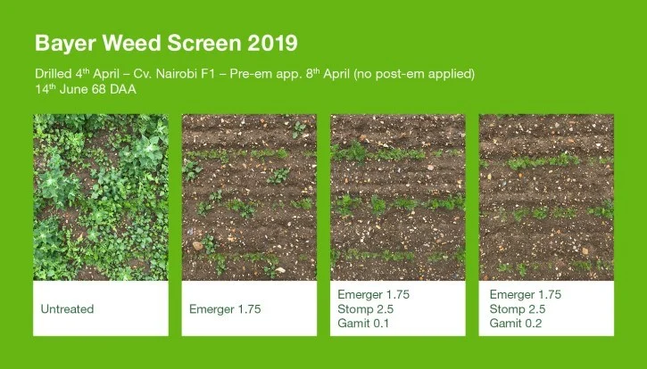 Emerger weed screen 2019