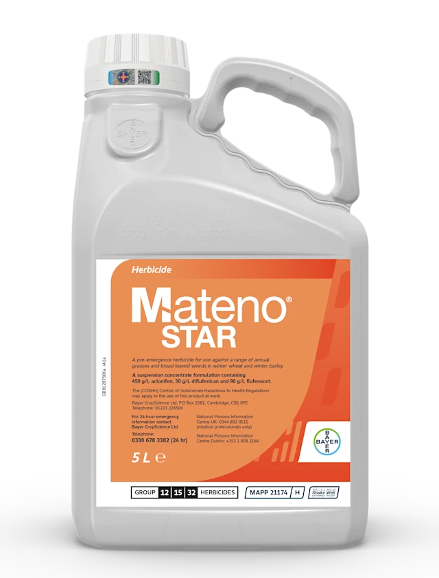 Mateno Star Product Image