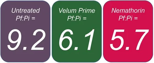 The benefit of nematicides in managing PCN populations
