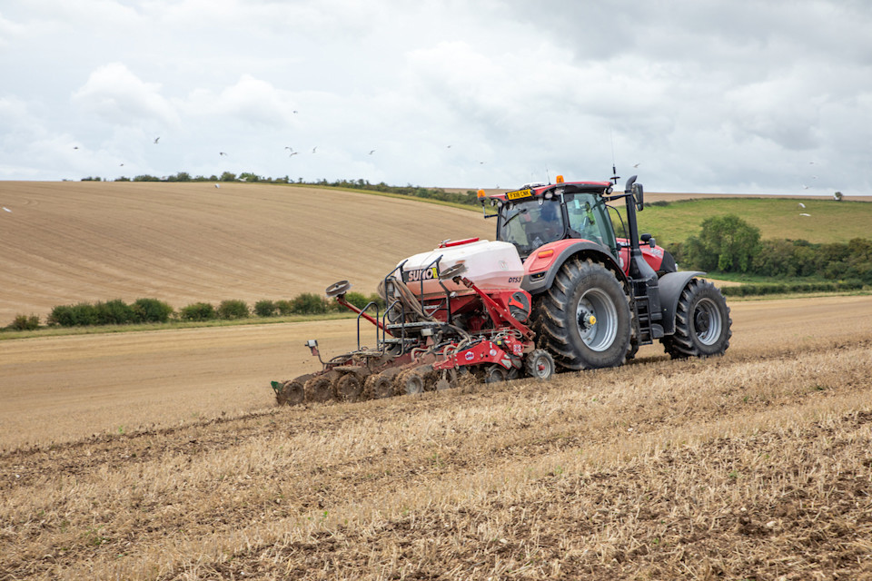 Six possible agronomy queries by western growers this September