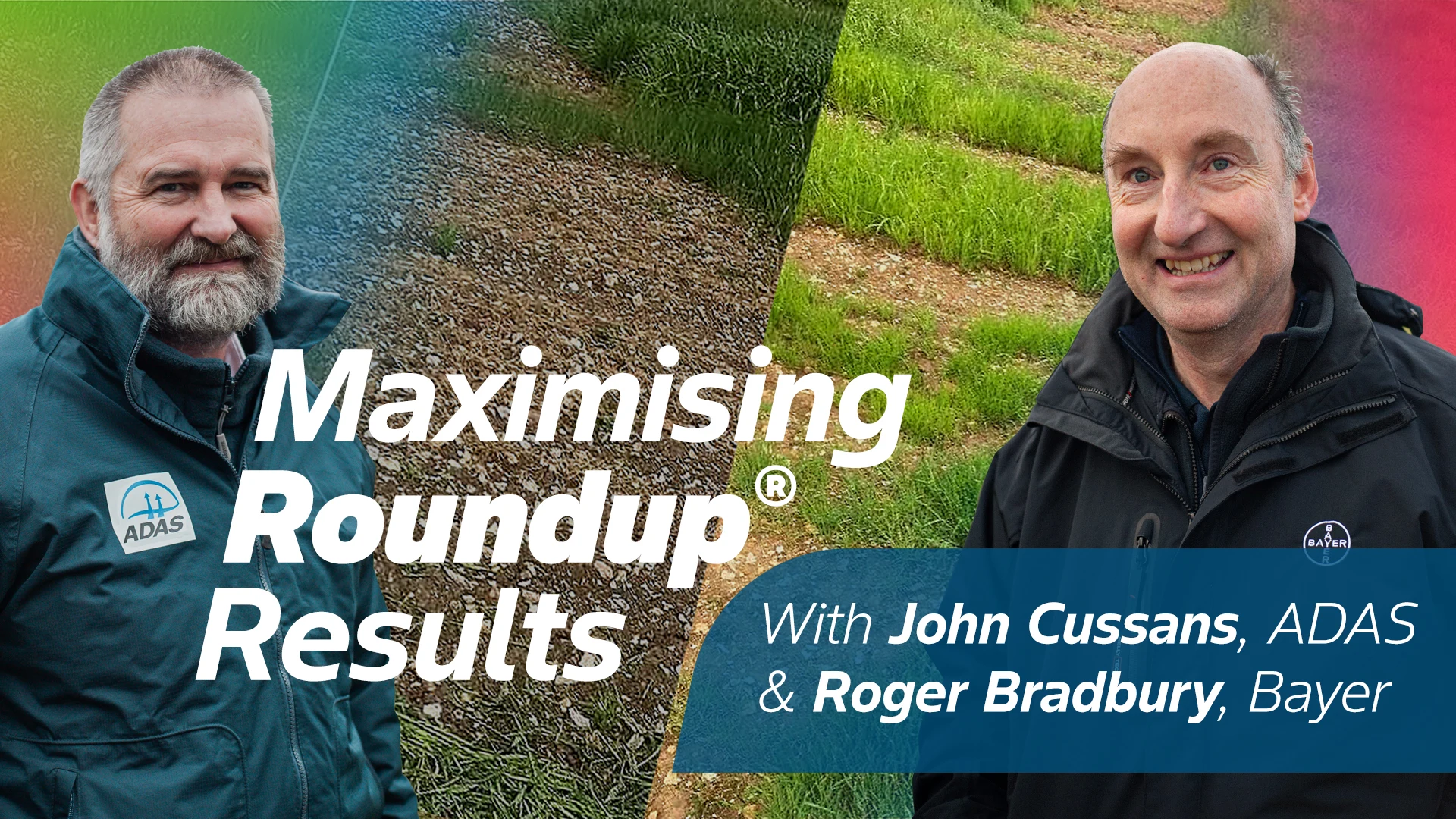 Roundup Hub