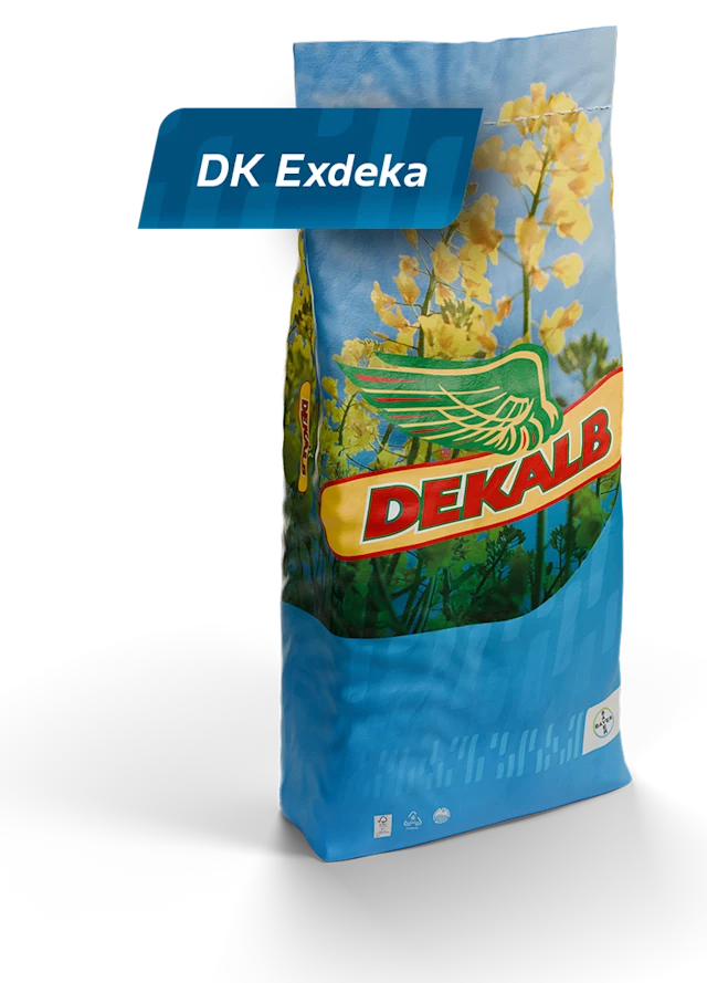 DK Exedge packaging
