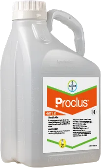 Large plastic bottle printed with a label of the Proclus logo 