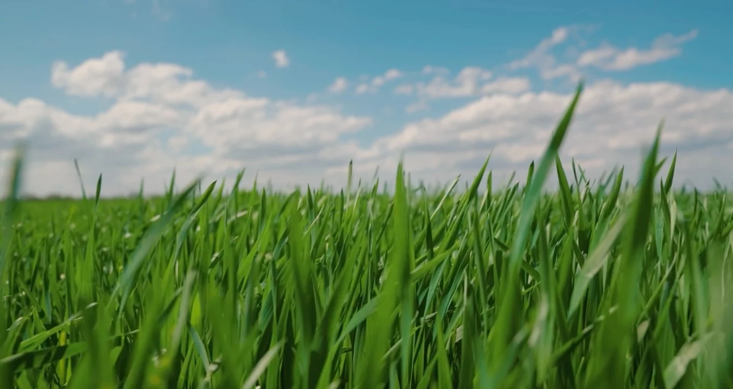 This is the hero image