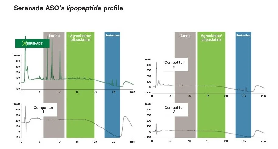 serenade lipopeptide profile crop