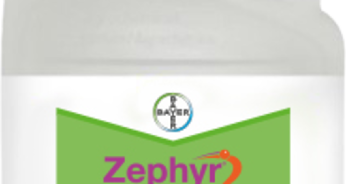Zephyr