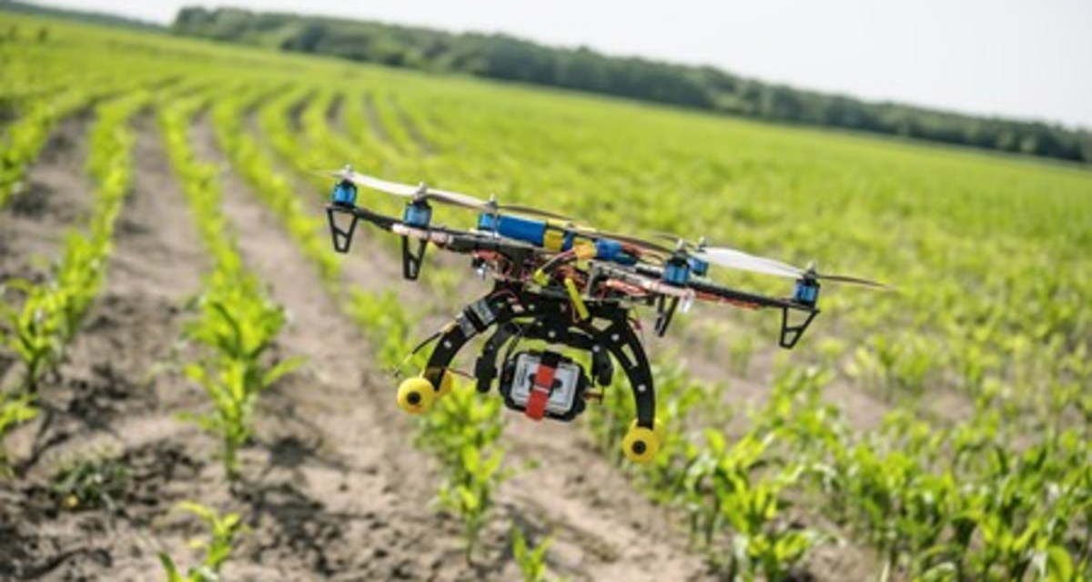 Understanding crop imaging in digital farming
