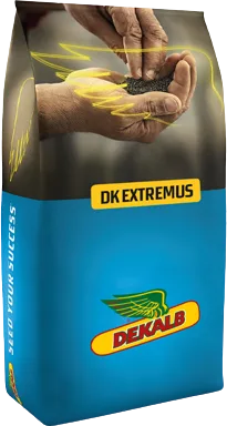 DK Extremus packaging