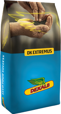 DK Extremus