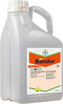 Large plastic bottle printed with a label of the Bandur logo 