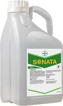 Large plastic bottle printed with a label of the Sonata logo 