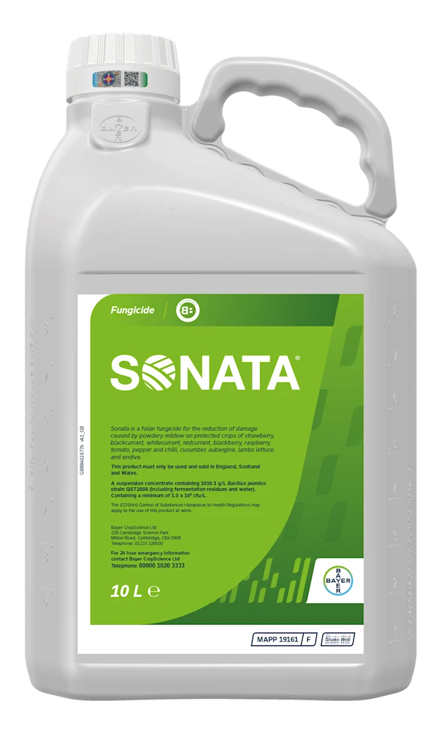 Large plastic bottle printed with a label of the Sonata logo 